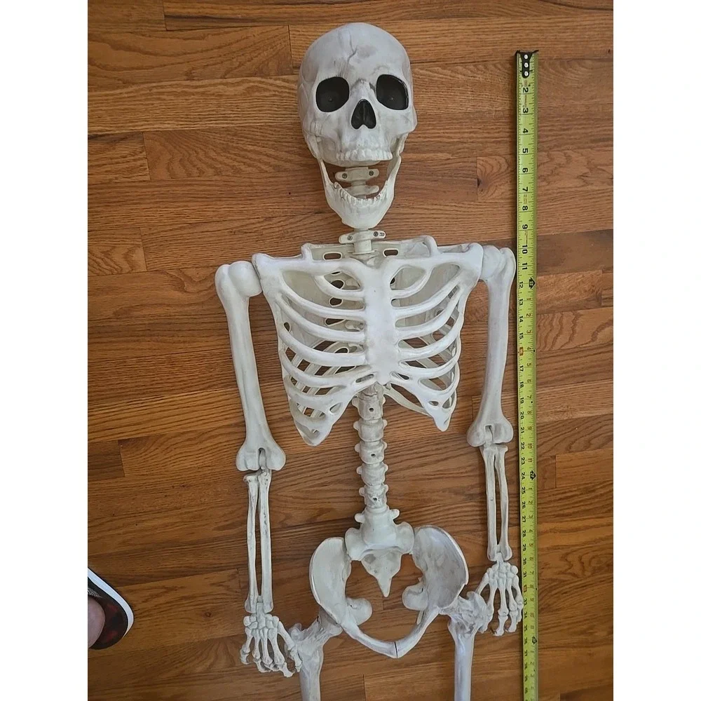 5 ft‎ Halloween Life Size Human Skeleton Poseable Bones Blue LED Light Eye